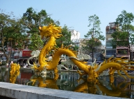 dragon-in-park