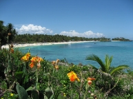 malapascua-bantigue-cove-beach-resort-view-of-langob.jpg