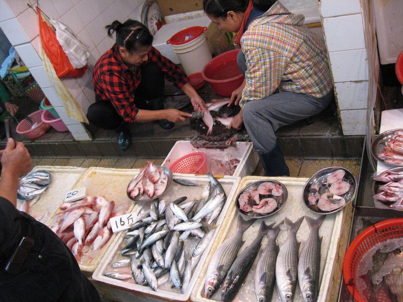Cheung-Chau-Island-fish-market.jpg