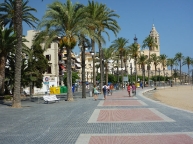 Sitges palm tree lined promenade
