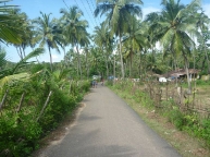 More typical Goan scenery