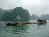 commercial-boat-halong-bay