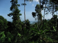 pagdanan bay from the palawan jungle