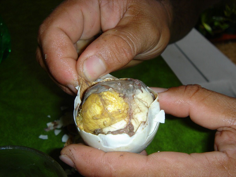 Opening up Balot egg