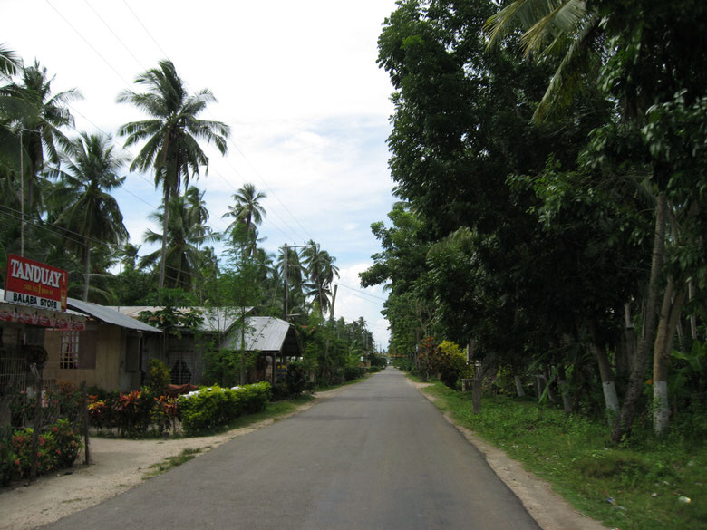 Panglao island greeneries